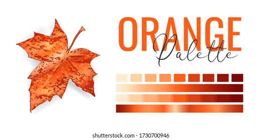 Fashion bright orange metallic color trend. Colour palette with different shades of orange color and gradient. Autumn tree leaf on white background. Paint palette mock up. Vector illustration