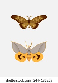 Fashion Butterfly Metal Craft illustrations