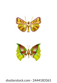 Fashion Butterfly Metal Craft illustrations