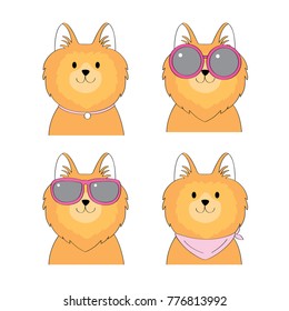 Fashion cartoon cute Pomeranian dog vector.