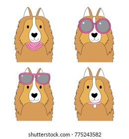 Fashion cartoon cute shetland sheepdog vector.