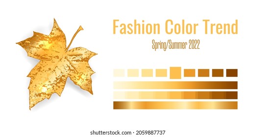 Fashion color trend Spring-Summer 2021-2022. Colour palette with different shades of yellow Gold color and gradient. Maple tree leaf on white background. Paint palette mock up. Vector illustration