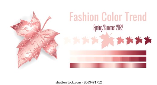 Fashion color trend Spring-Summer 2021-2022. Colour palette with different shades of pink color and gradient. Maple tree leaf on white background. Paint palette mock up. Vector illustration