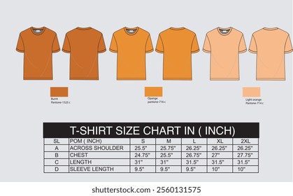 fashion design t shirt mock up vector out line  royalty free for use