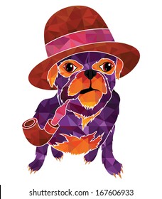 Fashion dog