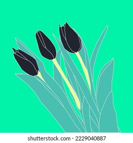 Fashion flat vector colored illustration. Stylish tulip flowers minimalist trendy design