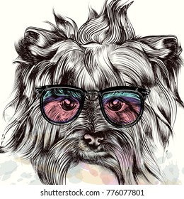 Fashion illustration with dog in hipster glasses