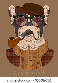 Fashion Illustration of dressed up  French bulldog with Tobacco Tube and glasses