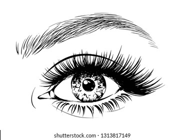 Fashion illustration of the eye with long eyelashes