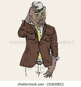 fashion illustration of gorilla dressed up in leather jacket