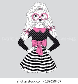 fashion illustration of poodle doggy dressed up in glamour style