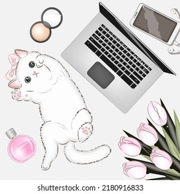 Fashion illustration, set, cat, laptop, smartphone, powder, perfume vector illustration