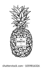 Fashion illustration sketchy style  pineapple.Digital vector detailed line art  hand drawn retro fruit.Vintage ink flat style, engraved simple doodle sketches. Trendy poster for textile, fabric, web