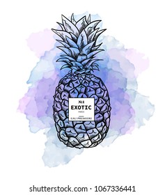 Fashion illustration sketchy style  pineapple.Digital vector detailed line art  hand drawn retro fruit.Vintage ink flat style, engraved simple doodle sketches. Trendy poster for textile, fabric, web