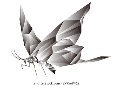 fashion insect butterfly