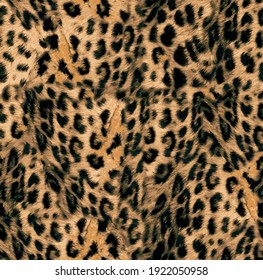 Fashion Leopard pattern. Leopard print pattern