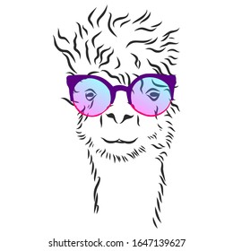 Fashion llama alpaca with rainbow glasses 