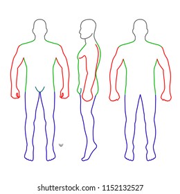 Rectangle Body Shape Man Standing Underwear Stock Vector (Royalty Free ...