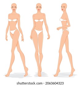  Modelos de moda posando, ilustración vectorial. Plantillas corporales femeninas. Moda de nueve cabezas croquis de color femenino, conjunto vectorial.