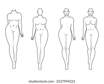 Modelos de moda posando, ilustração vetorial. Modelos de corpo de mulher.