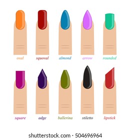 Fashion nail vector set. Types of fashion nail shapes. Vector illustration