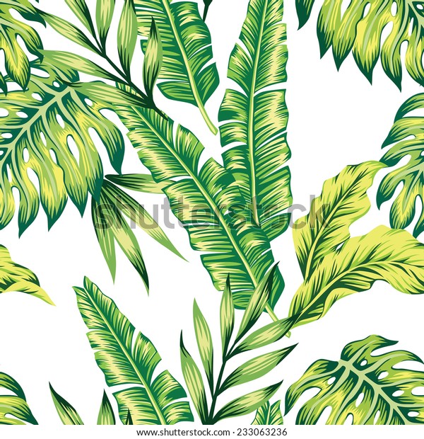 バナナヤシの葉のエキゾチックな熱帯植物のジャングルのファッションペインティング壁紙 トレンディな白い背景にハワイのシームレスなベクター画像パターンを印刷 のベクター画像素材 ロイヤリティフリー