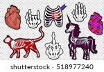 Fashion patch badges. Set of cat skeleton , realistic human heart, heart shot with an arrow in the chest, unicorn skeleton, skeleton gestures: middle finger and Rock n roll horns