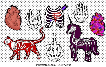 Fashion patch badges. Set of cat skeleton , realistic human heart, heart shot with an arrow in the chest, unicorn skeleton, skeleton gestures: middle finger and Rock n roll horns
