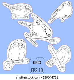 Fashion patch set, badges with european birds. This illustration can be used as a developing printing for children, applications, coloring books and more. Vector