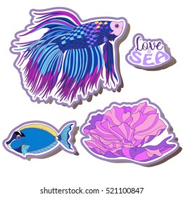 Fashion patch set, badges with fish, shells, corals. This illustration can be used as a print on T-shirts, bags, tattoo, badges or patch. Stock line vector illustration.