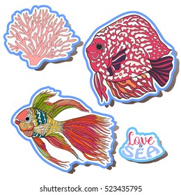 Fashion patch set, badges with fish, shells, corals. This illustration can be used as a print on T-shirts, bags, tattoo, badges or patch. Stock line vector illustration.