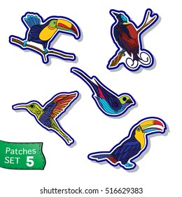 Fashion patch set, badges with tropical birds. This illustration can be used as a print on T-shirts, bags, tattoo, badges or patch Stock line vector illustration.