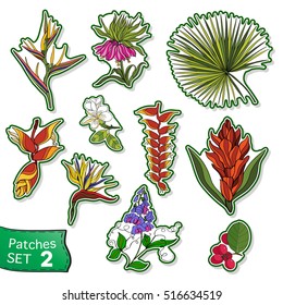 Fashion patch set, badges with tropical flowers and trees. This illustration can be used as a print on T-shirts, bags, tattoo, badges or patch Stock line vector illustration.
