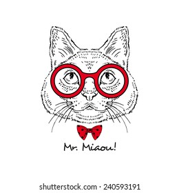 fashion portrait of cat Mr. Miaou isolated on white