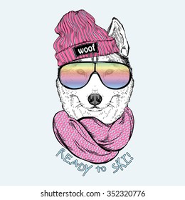 fashion portrait of cute dog husky dressed up in skier style, hand drawn graphic, t-shirt print