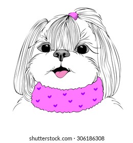 fashion portrait of doggy girl in pink, hand drawn vector