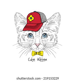 fashion portrait of  kitten boy in cat with bow tie isolated on white