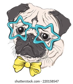 Fashion portrait of pug dog hipster in glasses in the form of stars and bow isolated on white. Vector hand drawn illustration