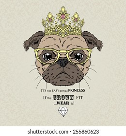 fashion portrait of pug girl princess