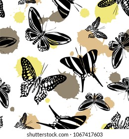 Fashion seamless butterfly kite background with blotter on white.  Spring butterfly hover theme vector. Repeating insect soar clipart for cover.