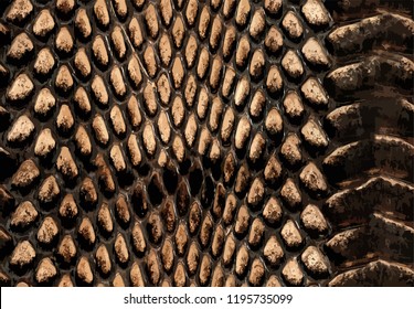 Fashion snake pattern
