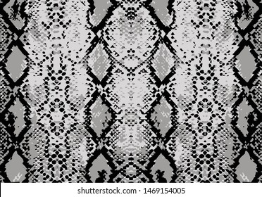 fashion snake pattern vector hand drawn design 