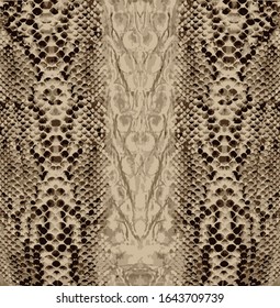 Fashion snake skin pattern design, vector illustration background