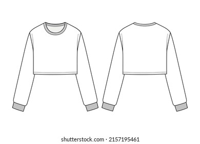 Fashion technical drawing of cropped sweatshirt