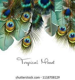 Fashion tropical illustration with realistic peacock feathers and banana green leafs