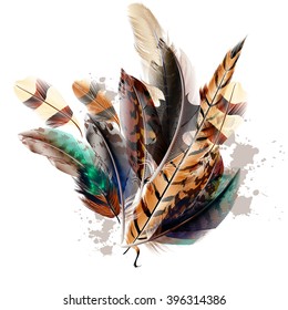 Fashion vector  background with colorful feathers