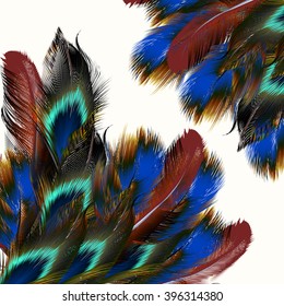 Fashion  vector background with colorful  peacock feathers