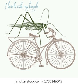 Fashion vector illustration grasshopper with bicycle