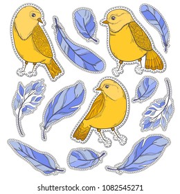 Fashion vector sticker patch bird and feather. Hand draw illustration.