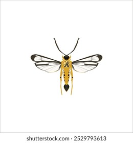 fashion vectors style Illustration design bee fashion style 